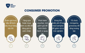 Consumer Promotion