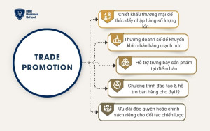 Trade Promotion