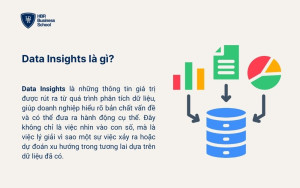 Data Insights là gì?