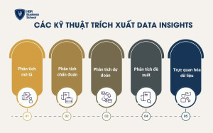 Các kỹ thuật trích xuất Data Insights