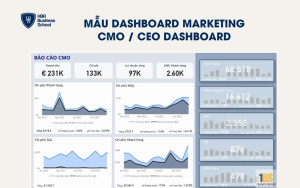 CMO / CEO Dashboard (Chiến lược – Tài chính – Tăng trưởng)