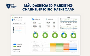 Channel-Specific Dashboard (Theo từng kênh chuyên biệt)