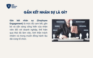 Gắn kết nhân sự là gì?