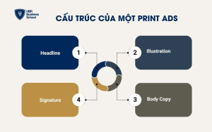 Cấu trúc của một Print Ads