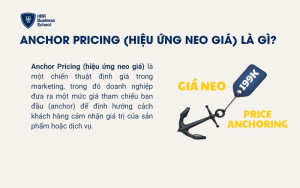 Anchor Pricing (Hiệu ứng neo giá) là gì?