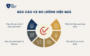 Báo cáo và đo lường hiệu quả