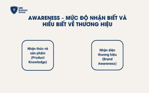 Awareness – Mức độ nhận biết và hiểu biết về thương hiệu