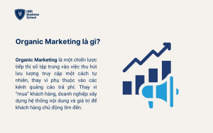 Organic Marketing là gì?