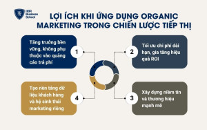 Lợi ích khi ứng dụng Organic Marketing trong chiến lược tiếp thị