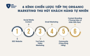 6 kênh chiến lược tiếp thị Organic Marketing thu hút khách hàng tự nhiên