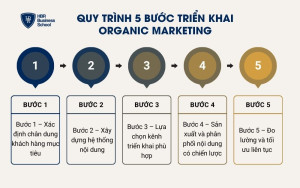 Quy trình 5 bước triển khai Organic Marketing