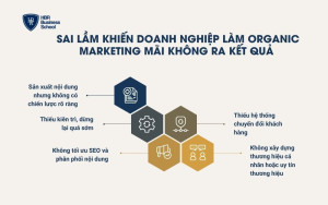 5 sai lầm khiến doanh nghiệp làm Organic Marketing mãi không ra kết quả