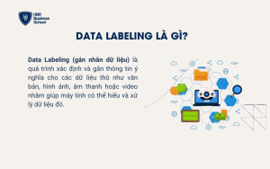Data Labeling là gì?