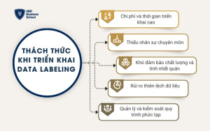 Thách thức khi triển khai Data Labeling