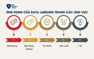 Ứng dụng của Data Labeling trong các lĩnh vực