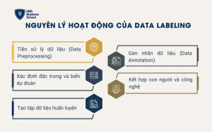 Nguyên lý hoạt động của Data Labeling