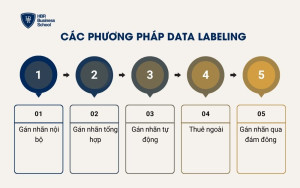 Các phương pháp Data Labeling