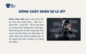Dòng chảy nhân sự là gì?