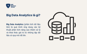 Big Data Analytics là gì?