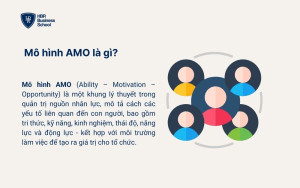 Mô hình AMO là gì?