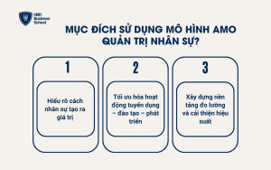 Mục đích sử dụng mô hình AMO quản trị nhân sự?