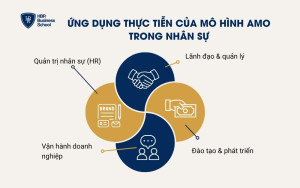 Ứng dụng thực tiễn của mô hình AMO trong nhân sự