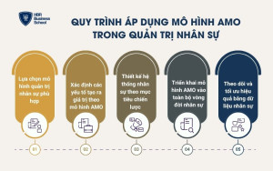Quy trình áp dụng mô hình AMO trong quản trị nhân sự