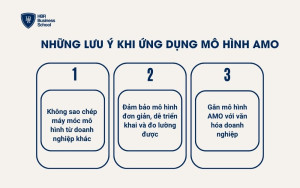 Những lưu ý khi ứng dụng mô hình AMO