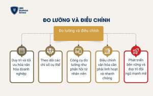 Đo lường và điều chỉnh