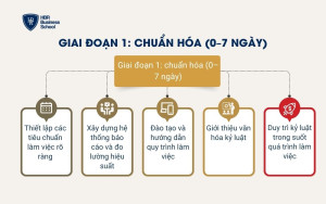 Giai đoạn 1: chuẩn hóa (0–7 ngày)