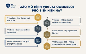 Các mô hình Virtual Commerce phổ biến hiện nay
