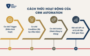 Cách thức hoạt động của CRM Automation