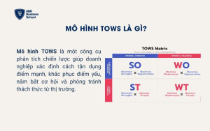 Mô hình TOWS là gì?