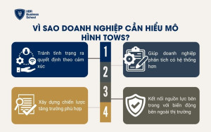 Vì sao doanh nghiệp cần hiểu mô hình TOWS?