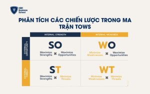 Phân tích các chiến lược trong ma trận TOWS