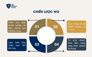 Chiến lược WO