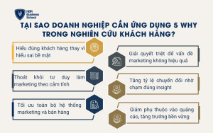 Tại sao doanh nghiệp cần ứng dụng 5 Why trong nghiên cứu khách hàng?