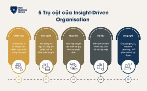 Các trụ cột chính của Insight-Driven Organisation