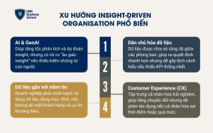 Các xu hướng Insight-Driven organization phổ biến hiện nay