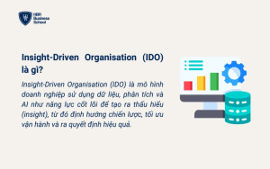Hiểu rõ khái niệm Insight-Driven Organisation (IDO)