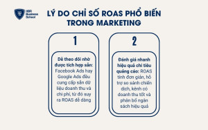 Lý do chỉ số roas phổ biến trong marketing