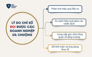 Lý do chỉ số ROI được các doanh nghiệp ưa chuộng