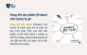 Giới thiệu thuật ngữ vòng đời sản phẩm