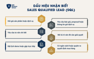 Dấu hiệu nhận biết SQL