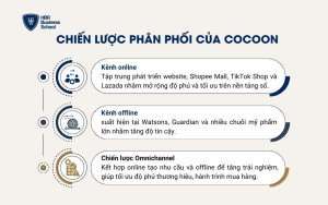 Chiến lược phân phối của Cocoon