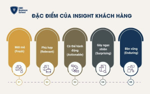 Đặc điểm của insight khách hàng