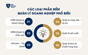Các loại phần mềm 
quản lý doanh nghiệp phổ biến