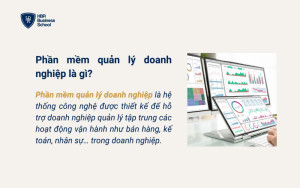 Phần mềm quản lý doanh nghiệp là gì?