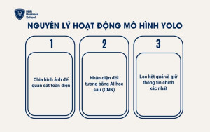 Nguyên lý hoạt động của mô hình YOLO