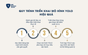Quy trình triển khai mô hình YOLO hiệu quả